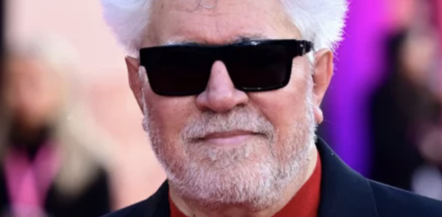 Spain: Hundreds of Celebrities Calling on Government to Impose Arms Embargo on Israel